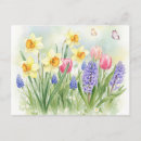 Recherche de jacinthe cartes postales Muscari