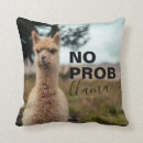 Recherche de no prob llama Amusant
