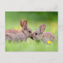 Recherche de bisous cartes postales Mignon