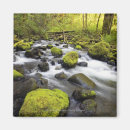 Suche nach moos magnete Im freien