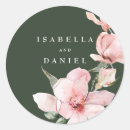 Recherche de magnolia rose Minimaliste