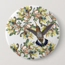 Suche nach kolibris buttons Wild lebende tiere