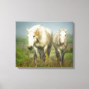 Suche nach marie poster leinwandbilder Bauernhof