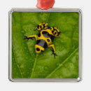 Suche nach pfeile ornamente Natur