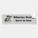 Suche nach husky autoaufkleber Sibe