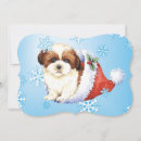 Recherche de shih tzu christmas vœux cartes Chapeau santa