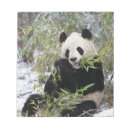 Suche nach draußen notizblock Schnee