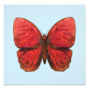 Suche nach exotische schmetterlinge poster Sommer