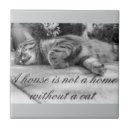 Recherche de tigre blanc carreaux Noir