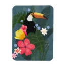 Recherche de oiseau exotique magnets Tropical
