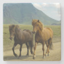 Suche nach isländisch untersetzer Pferd