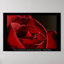 Suche nach romantische rote rose poster Liebe