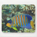 Suche nach junges mousepads Ein tier