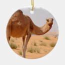Recherche de chameaux ornements Animal
