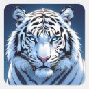 Recherche de tigre blanc autocollants Yeux bleus