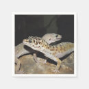 Recherche de geckos serviettes Reptile