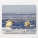 Suche nach gefährdet mousepads Schnee