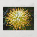Suche nach protea poster Exotisch