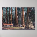 Suche nach mariposa poster Bäume