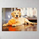 Suche nach goldene retriever poster Niedlich