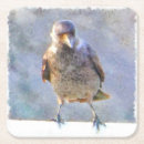 Suche nach krähen untersetzer Natur