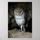 Suche nach galapagos poster Inseln