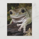 Suche nach frog postkarten Natur