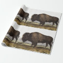 Recherche de bison américain papier cadeau Faune