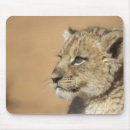 Suche nach löwejunges Tierkörperteil