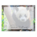 Recherche de ours blocsnotes Ours de panda