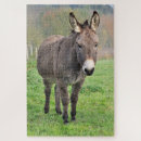 Recherche de donkey puzzles Cute