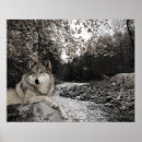 Suche nach brooke poster Wolf