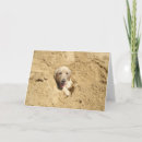 Suche nach lustige golden retriever karten Tier