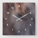 Recherche de oeil horloges Animal