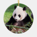 Recherche de zoo ornements Hiver