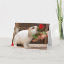 Suche nach kaninchen beileidskarten Verlust