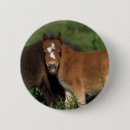Suche nach miniatur buttons Fohlen