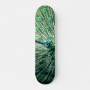 Recherche de peacock skateboards Paon