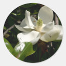 Recherche de literie autocollants Jardin