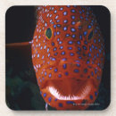 Suche nach juwelen untersetzer Natur