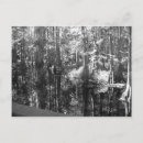 Recherche de illusion cartes postales Noir et blanc