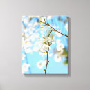 Suche nach magnolien leinwandbilder Quelle