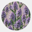 Recherche de hyacinthe autocollants Nature