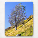 Recherche de collines électronique Arbre