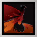 Suche nach phoenix vogel poster Abstrakt