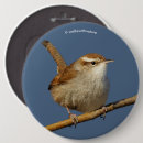 Recherche de curieux badges Oiseau