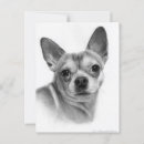 Suche nach realistische postkarten Hundefreund