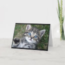 Recherche de expression vœux cartes Citations