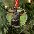 Recherche de berger allemand ornements Animal
