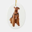 Suche nach airedale ornamente Terrier